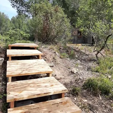 Cabane De Manon, Le Retour Aux Sources * Mèze