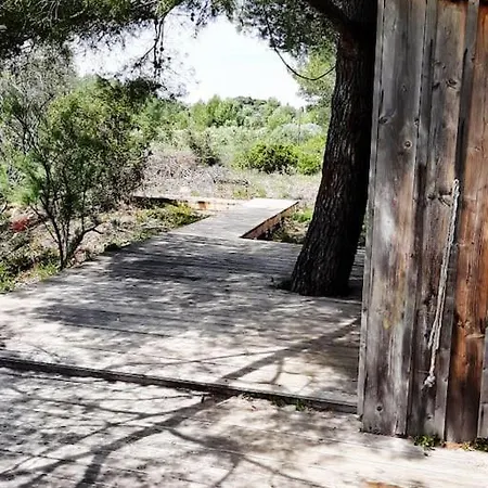 Cabane De Manon, Le Retour Aux Sources Mèze